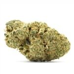 Girl Scout Cookies 24%