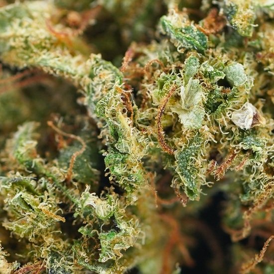 Amnésia 25% – Image 2