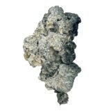 Spécial Spécial 'Half Oz' Magic Mushrooms (14 grammes)