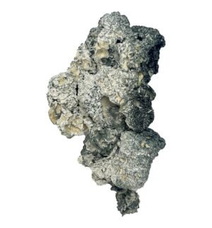 Spécial Spécial 'Half Oz' Magic Mushrooms (14 grammes)