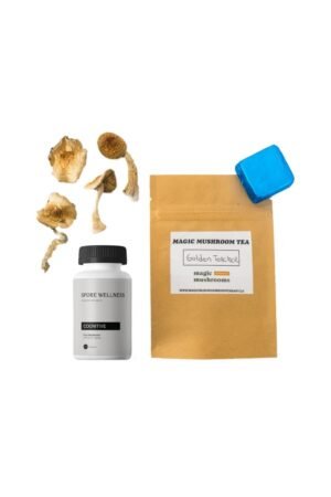 Premier kit de champignon magique minuterie: Psychologie 101