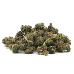 Small Bud Purple Haze 17%